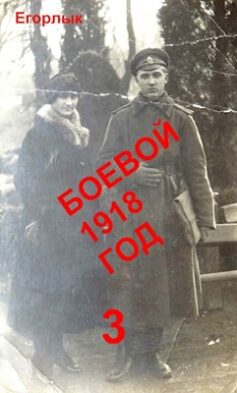 Боевой 1918 год — 3