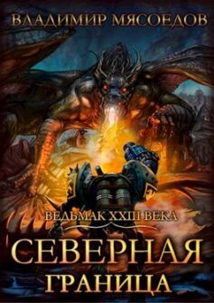 Ведьмак 23го века. Том четырнадцатый «Северная граница»