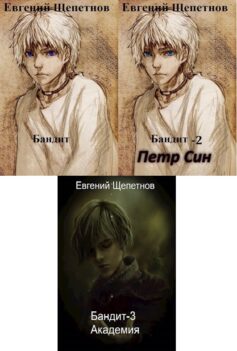 Серия книг «Петр Синельников»