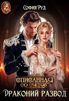 Драконий развод, или Списанная со счетов